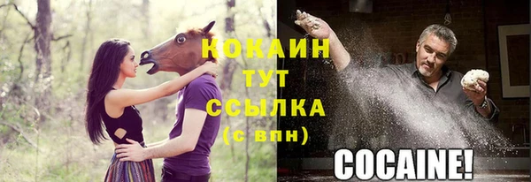 молекула духа Армянск