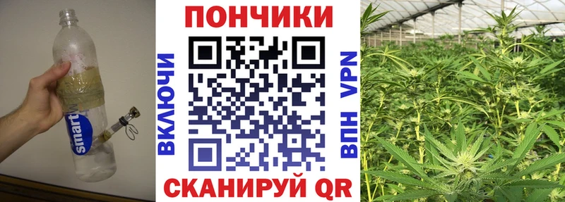 Бошки марихуана марихуана  цены   Луза 